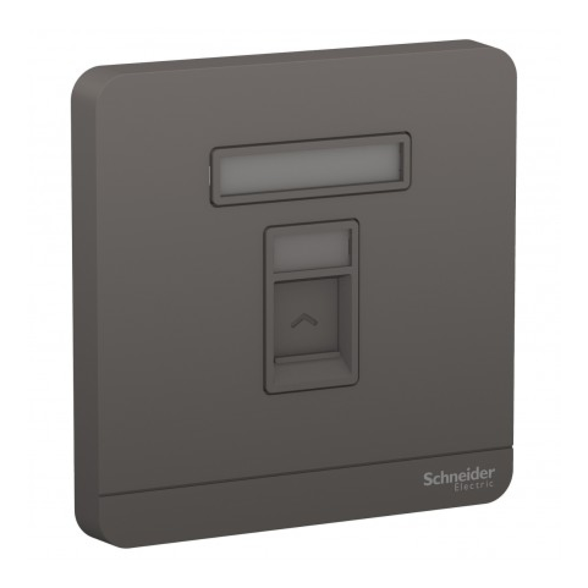 Schneider Electric 施耐德電氣 AvatarOn 單位RJ45八線5e類數據插座,Keystone面板備防塵活門 (石墨灰) (E8331RJS5_DG_C5) Schneider Electric 施耐德電氣 AvatarOn 單位RJ45八線5e類數據插座,Keystone面板備防塵活門 (石墨灰) (E8331RJS5_DG_C5)