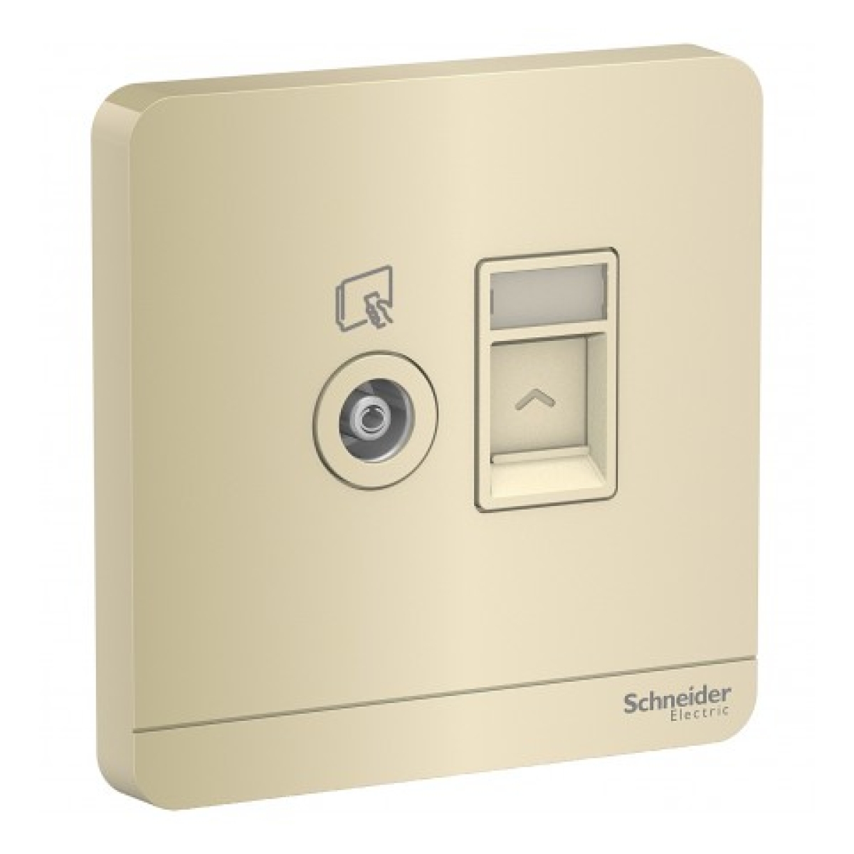 Schneider Electric 施耐德電氣 AvatarOn 單位電視及RJ45數據插座，Keystone面板備防塵活門 (不連模塊) (沉醉金) (E8332TVRJS_WG_C5)