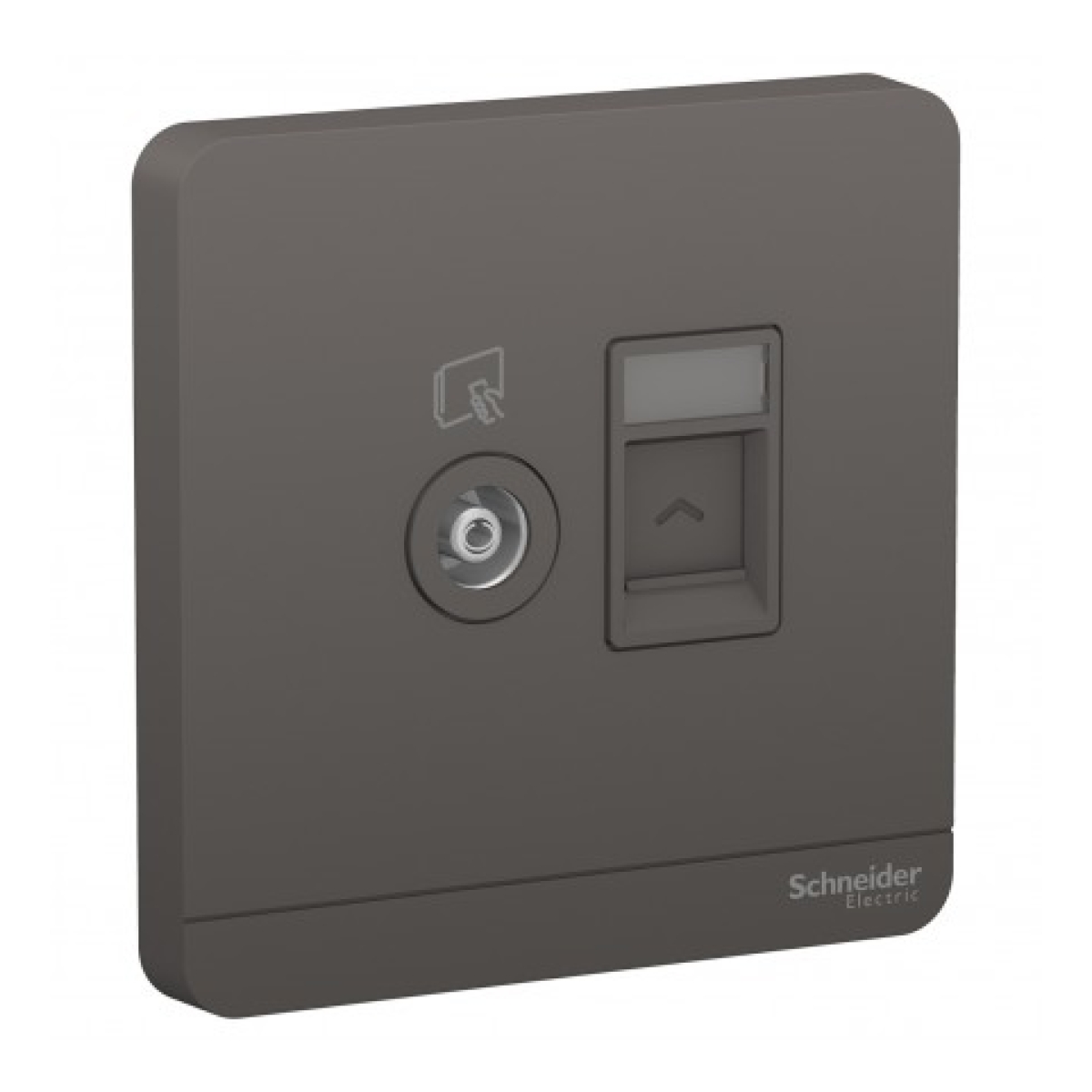 Schneider Electric 施耐德電氣 AvatarOn 單位電視及RJ45數據插座，Keystone面板備防塵活門 (不連模塊) (石墨灰) (E8332TVRJS_DG_C5)