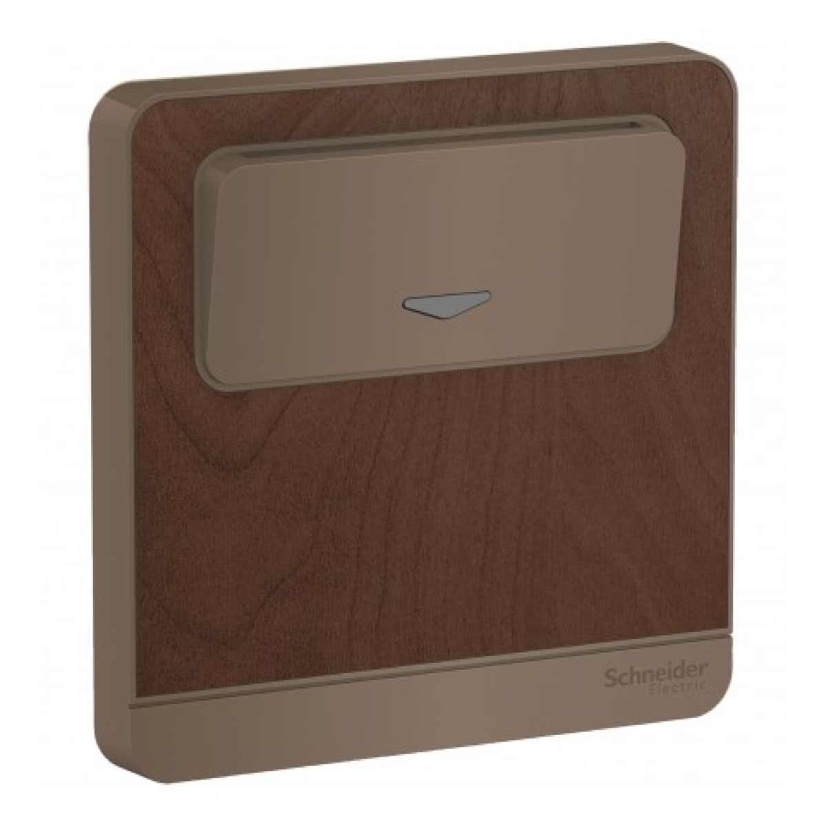 Schneider Electric 施耐德電氣 AvatarOn 16A 250V 電子插卡開關掣 (胡桃木) (E8331EKT_WD_C5)