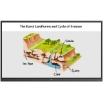 LG 樂金 75TR3PJ 75吋 4K 電子互動白板