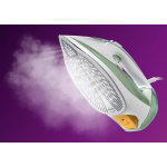 Philips 飛利浦 DST7012/70 7000系列 Azur 蒸氣熨斗 (草綠色/灰色)