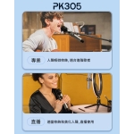 Edifier PK305 流動擴音機