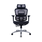 Zenox Ten-E 天依辦公椅 (黑色) (ZE-OC4188-BLK)