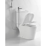 Richford RW103 二合一 體座廁連洗手盆 (不包含風琴喉, 水龍頭及花灑)