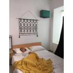 Luftrum NC200D 壁掛式除菌空氣淨化機