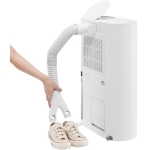 LG 樂金 DD12GMWE0 24公升/日 PuriCare™ 雙迴轉變頻抽濕機 (附乾鞋及衣櫥配件)