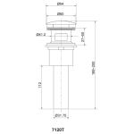 Kohler K-7120T-AF 水龍頭配件 弹跳式落水 (含内藏式止水塞) (法蘭金)