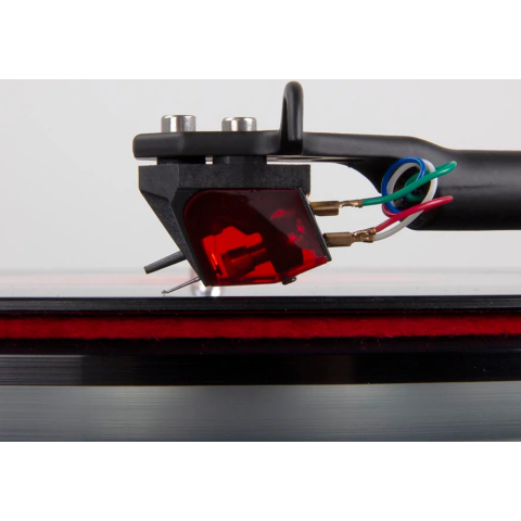 Rega Ania Pro 阿尼亞專業版 動圈MC唱頭
