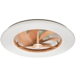 Doshisha DCEA-G14CL-LW Circulight Giant 日本天花風扇燈 (木色) (附遙控)