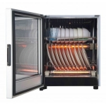 Sanki 日本山崎 SK-DS50A 45公升 第二代 智能消毒碗櫃