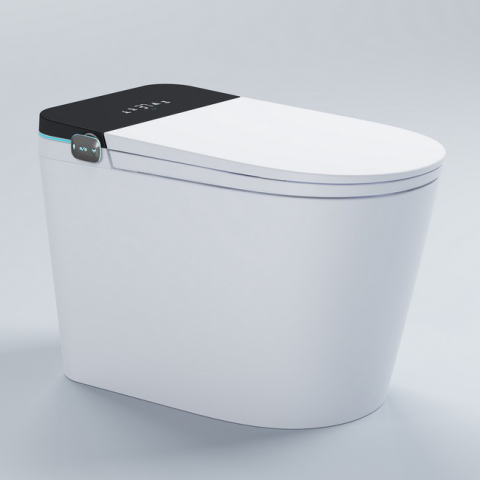 Walrus WR-120929 M929 高咀智能座廁 (不包含風琴喉)