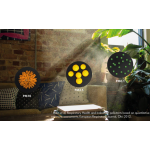 Boneco BON-P130 空氣淨化器