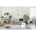 Boneco BON-H320 加濕機及空氣清新機