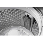 LG 樂金 TS11BP 11公斤 700轉 直驅式變頻摩打 頂揭式 日式洗衣機