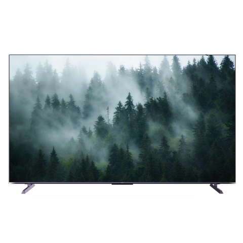 Skyworth 創維 100Q7800G 100吋 QLED 智能電視