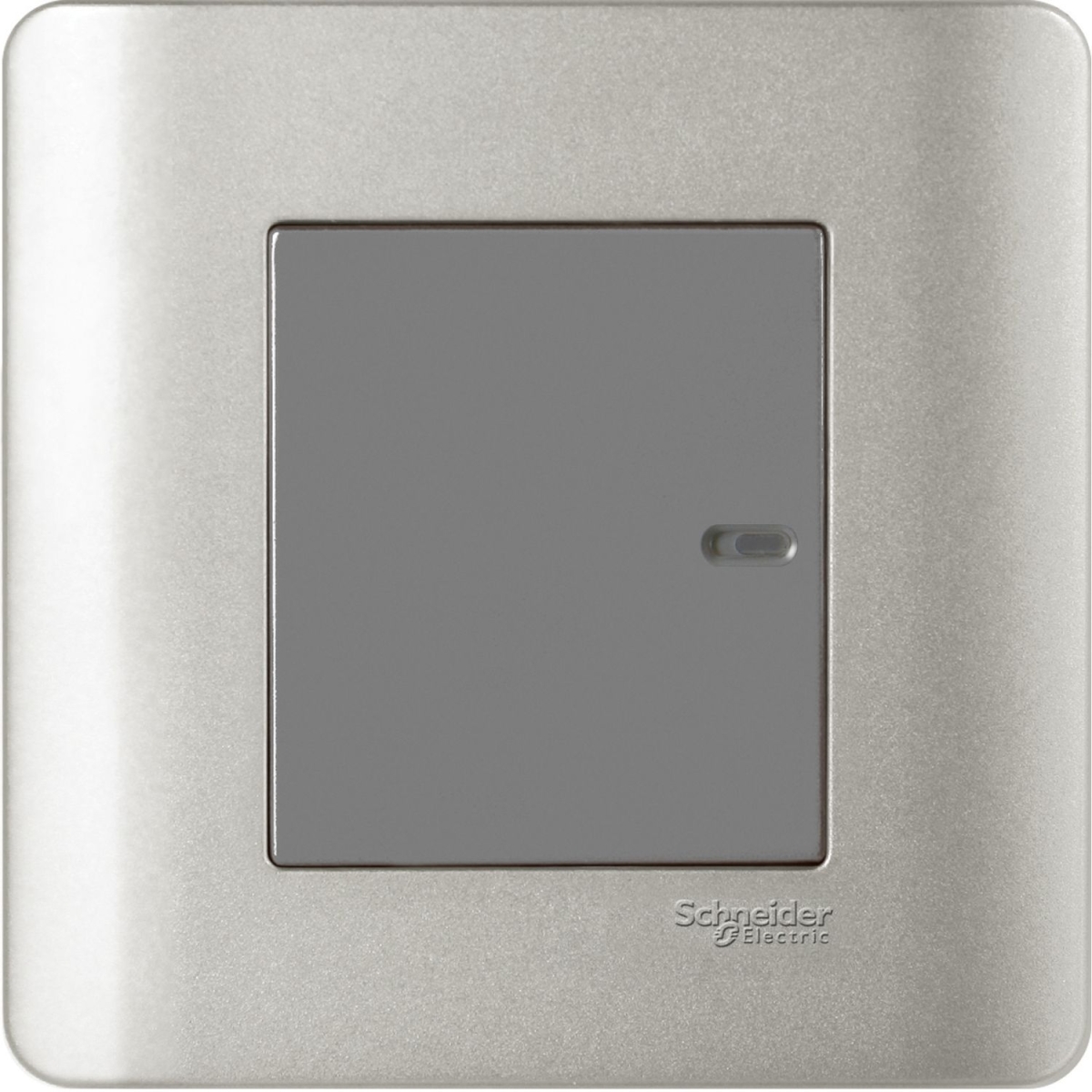 Schneider Electric 施耐德電氣 E8431/2 SA 16AX 單位雙控平觸開關掣 (銀灰)