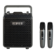 Edifier PP205S 移動式便攜音箱 (雙MIC版) (暮雲灰)