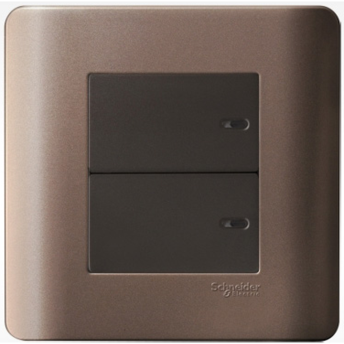 Schneider Electric 施耐德電氣 E8432_2_SZ ZENcelo 16AX 兩位雙控平觸開關掣 (銀銅)