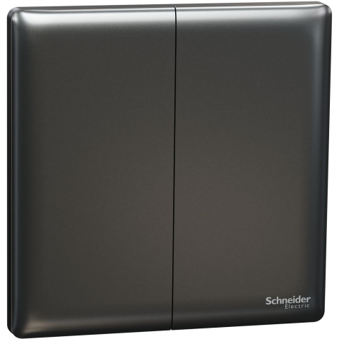 Schneider Electric 施耐德電氣 NUX32_1_DG Unica X 16AX 兩位單控開關掣 (石墨灰)