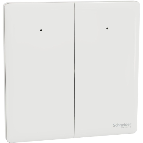 Schneider Electric 施耐德電氣 NUX32_1N_PW Unica X 16AX 兩位單控開關掣連LED指示燈 (皎月白)