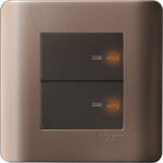 Schneider Electric 施耐德電氣 E8432D20 SZ Zencelo 20A 兩位平觸雙極開關掣連指示燈(銀銅)