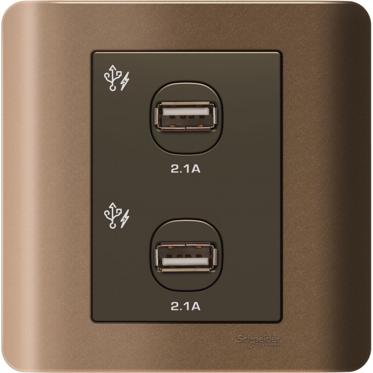Schneider Electric 施耐德電氣 E8432USB_SZ Zencelo 兩位2.1A USB充電插座 (銀銅) Schneider Electric 施耐德電氣 E8432USB_SZ Zencelo 兩位2.1A USB充電插座 (銀銅)