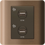 Schneider Electric 施耐德電氣 E8432USB_SZ Zencelo 兩位2.1A USB充電插座 (銀銅)