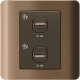 Schneider Electric 施耐德電氣 E8432USB_SZ Zencelo 兩位2.1A USB充電插座 (銀銅)