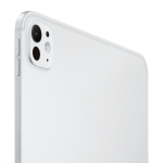 Apple 11吋 iPad Pro Wi-Fi 256GB (銀色)