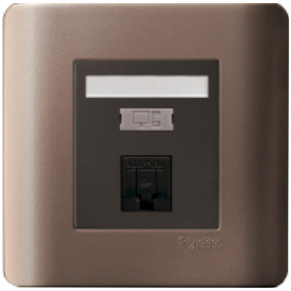 Schneider Electric 施耐德電氣 E8431RJS_6_SZ Zencelo 單位RJ45 6類數據插座 (Keystone面板備/防塵活門) (銀銅)