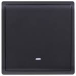 Schneider Electric 施耐德電氣 E8231L2F_MB Pieno 16AX 單位雙控開關掣連螢光指示 (寫意黑)