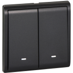 Schneider Electric 施耐德電氣 E8232L1F_MB_C5 Pieno 16AX 兩位單控開關掣連螢光指示 (寫意黑)