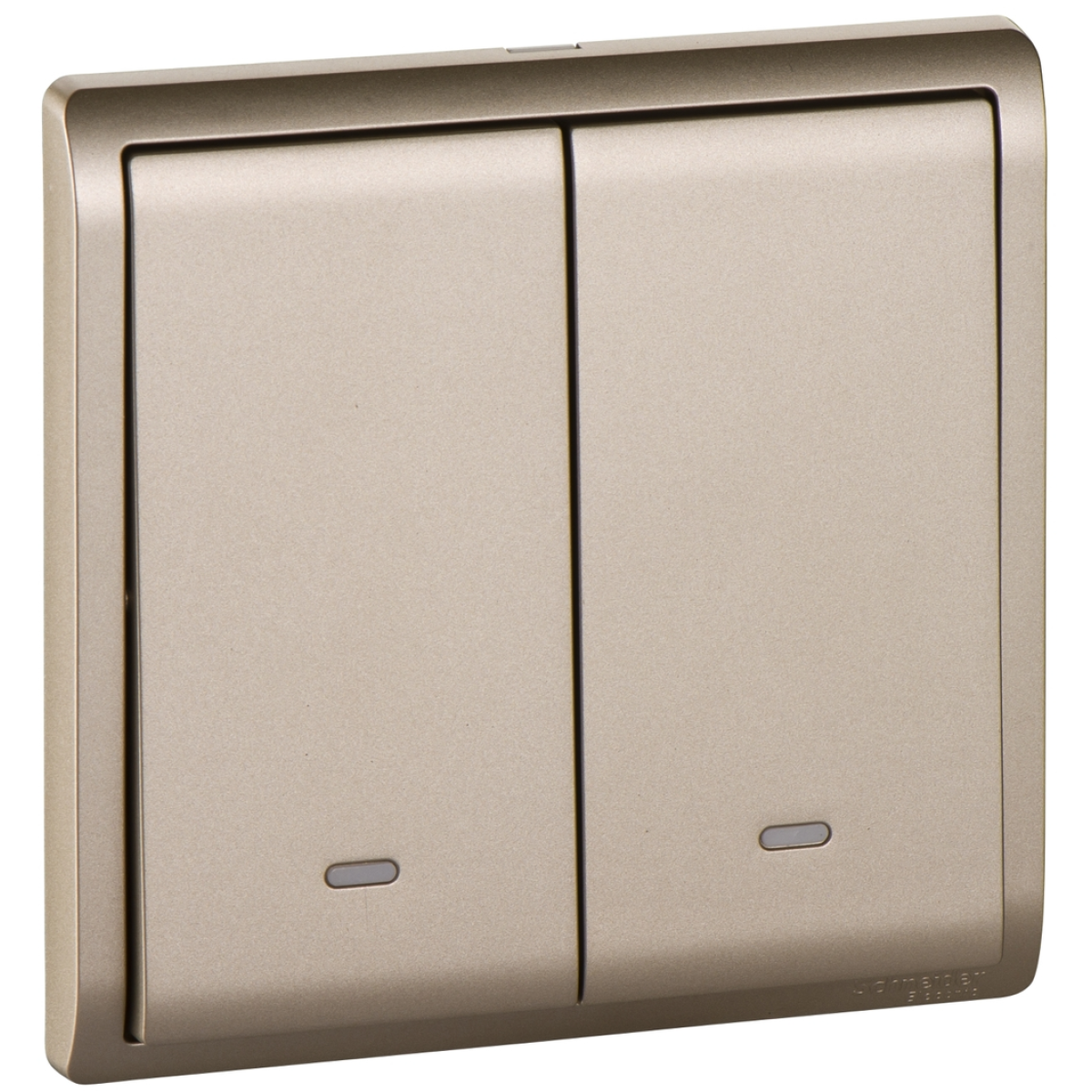 Schneider Electric 施耐德電氣 E8232L2F_WG_C5 Pieno 16AX 兩位雙控開關掣連螢光指示 (沉醉金)