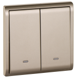 Schneider Electric 施耐德電氣 E8232L2F_WG_C5 Pieno 16AX 兩位雙控開關掣連螢光指示 (沉醉金)