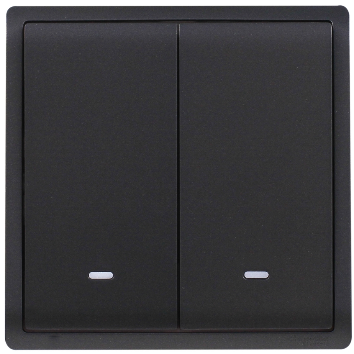 Schneider Electric 施耐德電氣 E8232L2F_MB_C5 Pieno 16AX 兩位雙控開關掣連螢光指示 (寫意黑)