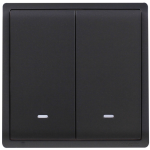 Schneider Electric 施耐德電氣 E8232L2F_MB_C5 Pieno 16AX 兩位雙控開關掣連螢光指示 (寫意黑)