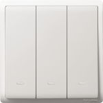 Schneider Electric 施耐德電氣 E8233L2F_WE_C5 Pieno 16AX 三位雙控開關掣連螢光指示 (凝白)