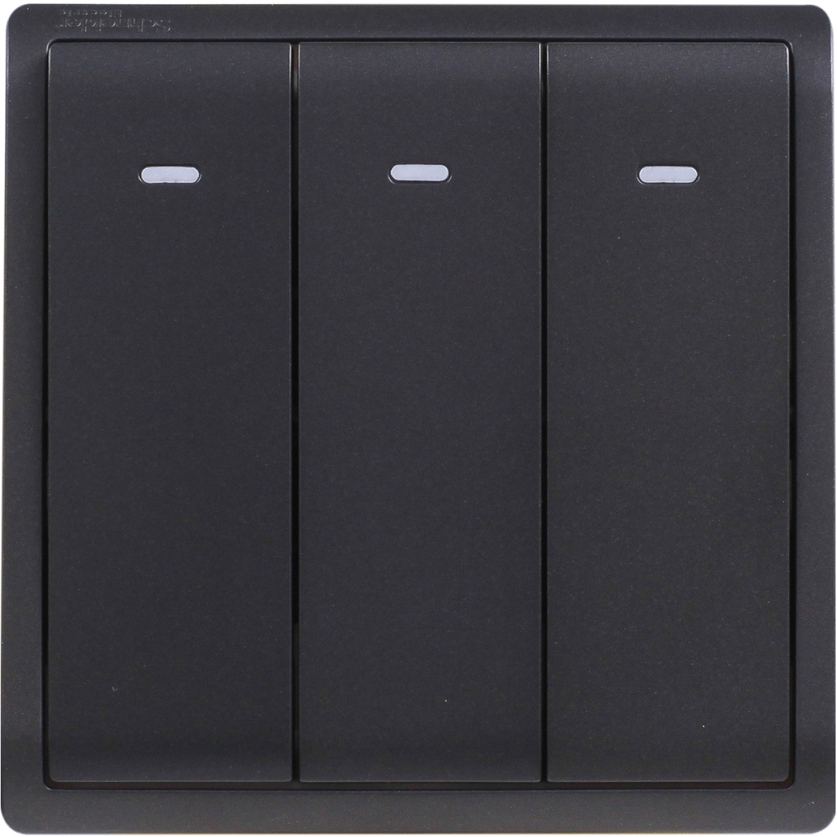 Schneider Electric 施耐德電氣 E8233L2F_MB_C5 Pieno 16AX 三位雙控開關掣連螢光指示 (寫意黑)