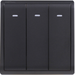 Schneider Electric 施耐德電氣 E8233L2F_MB_C5 Pieno 16AX 三位雙控開關掣連螢光指示 (寫意黑)