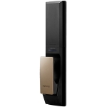 Zigbang 直幫 ZIG-ZDP73FNLGEN ZD-P73 物聯網電子門鎖 (金色)