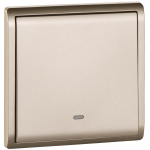 Schneider Electric 施耐德電氣 E8231MF_WG Pieno 16AX 20A 單位十字開關掣 連螢光指示 (沉醉金)