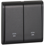 Schneider Electric 施耐德電氣 E8232D20N_MB_C5 Pieno 20A 兩位雙極開關掣連指示燈 (寫意黑)