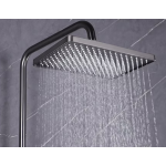 Richford RF8828 雨淋花灑套裝 (ø35)​