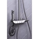 Richford RF8828 雨淋花灑套裝 (ø35)​