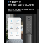 Thanko X1 人臉識別 智能電子門鎖