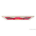 Samsung 三星 VG-SCFF75SGMZK 75吋 The Frame Pro 斜角風典雅沙金邊框 (2025) (無有線電視接口)