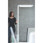 Waldmann WAL00813565 Lavigo R 多功能落地護眼落地燈(自動感應) (白色)