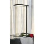 Waldmann WAL00813566 Lavigo R 多功能落地護眼落地燈(自動感應) (黑色)