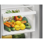 Electrolux 伊萊克斯 ESE5101B-A 507公升 600系列 變頻 對門式雪櫃 (銀色)